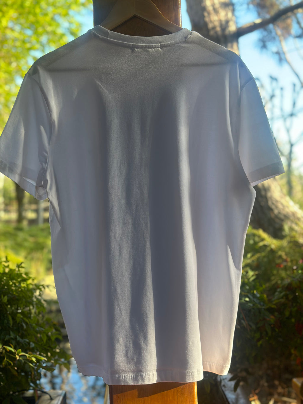 White Tee Shirt Reimagined